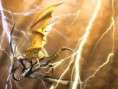 /album/wallpapers/a2-jpg/