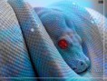 /album/wallpapers/a3-jpg/